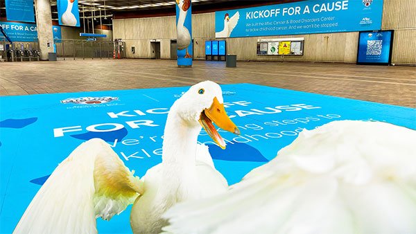 Aflac Duck In Action