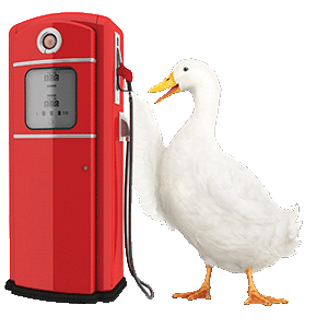 Aflac duck at gasoline pump